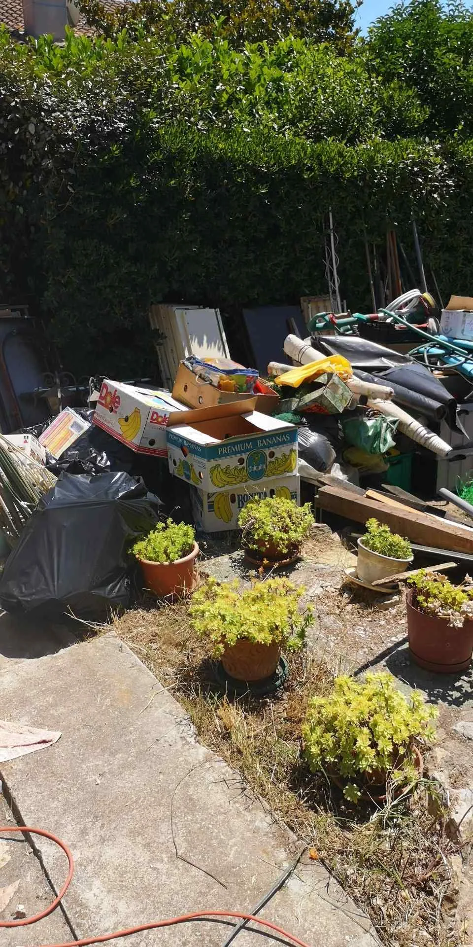 Une cour avec plusieurs plantes en pot au premier plan et un grand tas d'articles ménagers, de boîtes et de sacs empilés à l'arrière-plan.